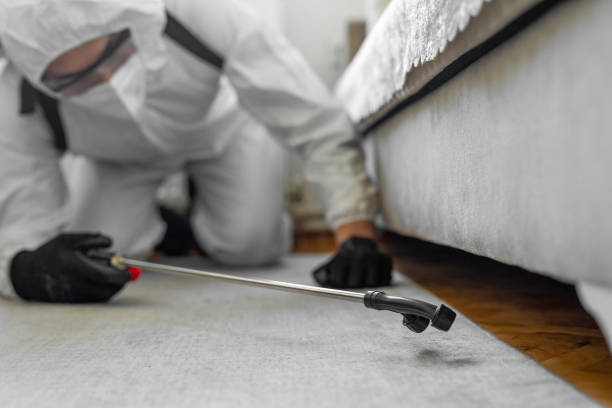 Professional Termite Control technician working in Villa Park, CA