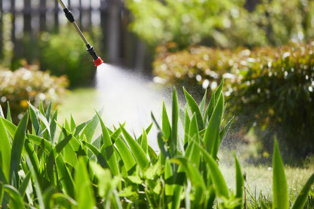 24/7 Emergency Termite Control experts in Villa Park, CA